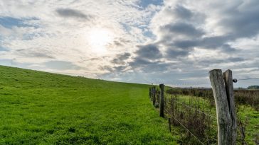 uitgestrekt landschap
