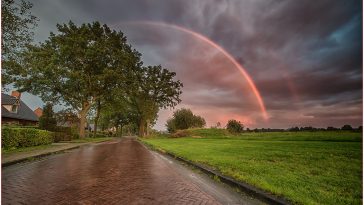 laan met bomen en regenboog