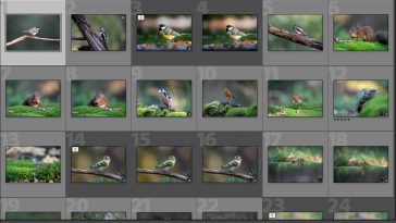bibliotheek-module Lightroom