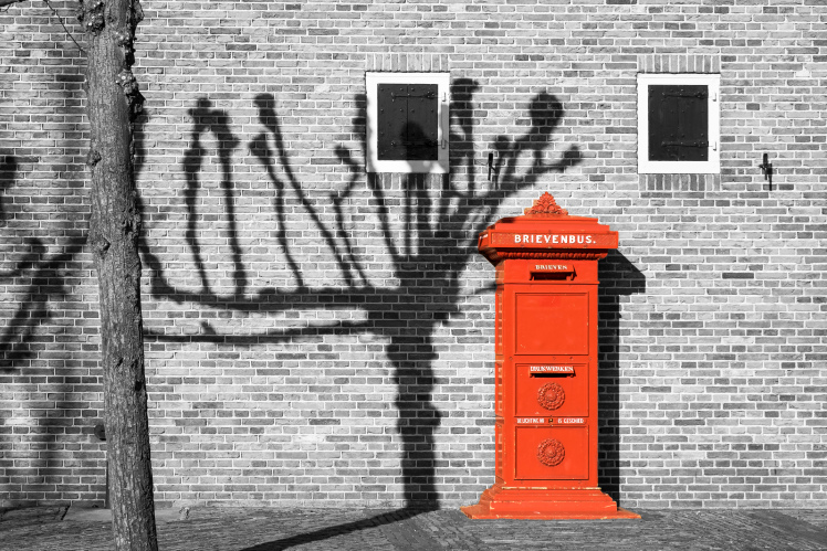 Defecte George Eliot Land Photoshop Quick Tip - Zwart-witfoto met opvallend kleuraccent - Zoom  Academy | Fotografietips