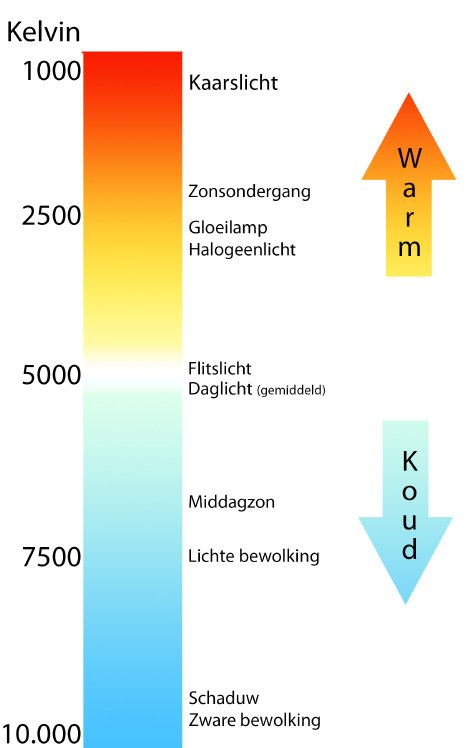 Witbalans Uitgelegd - Zoom Academy | Fotografietips