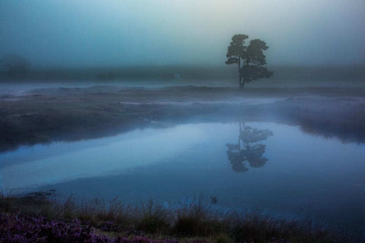Foto: Dick Jeukens