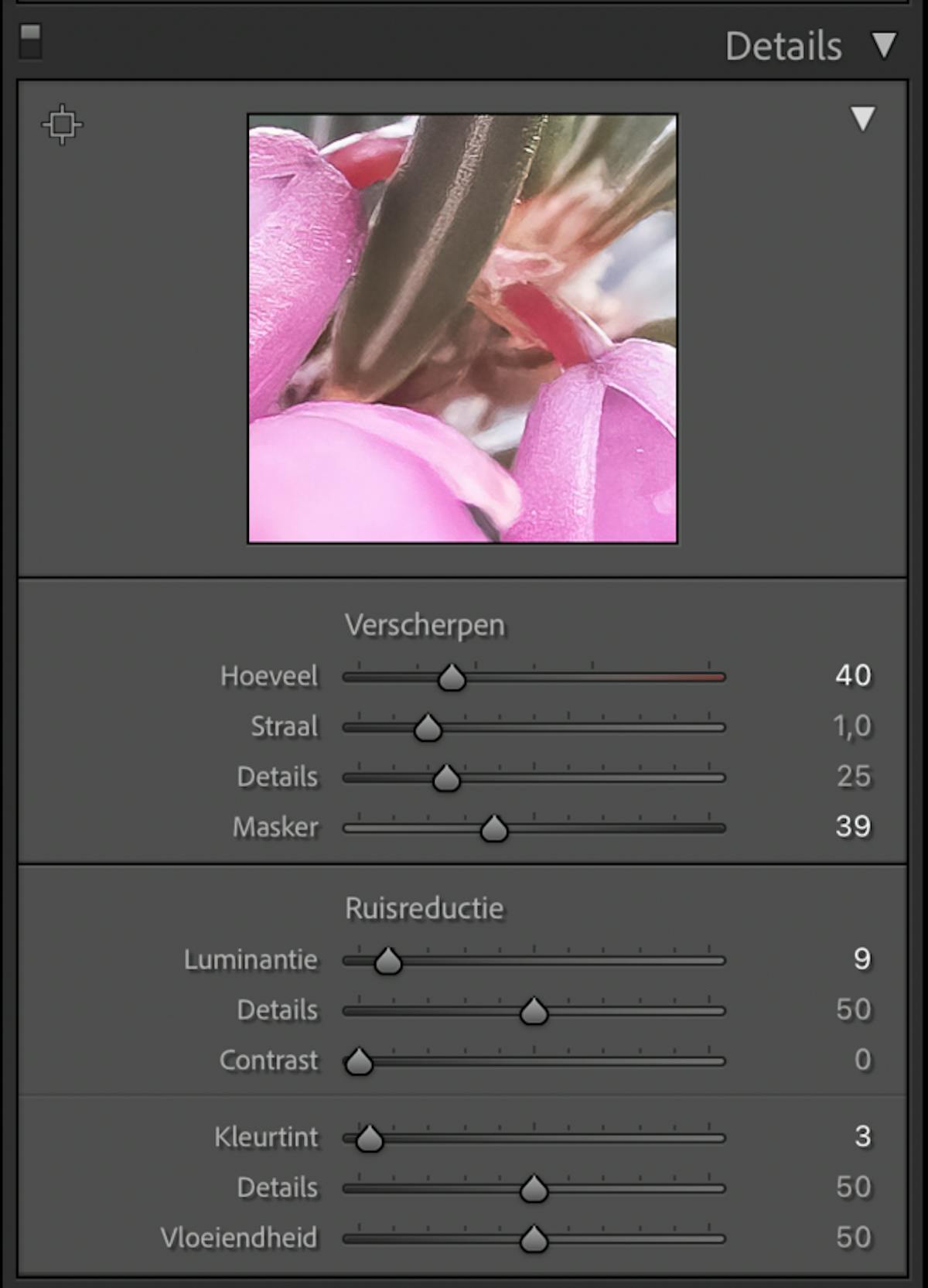 Onder in het paneel Details vind je het deelvenster Ruisreductie.