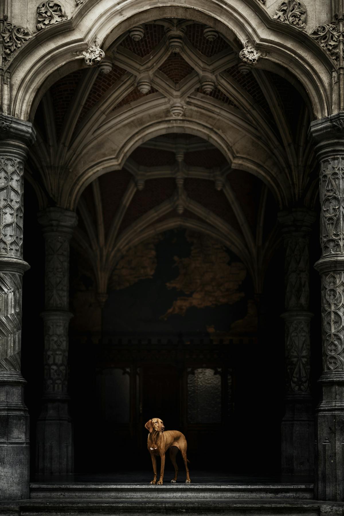 Foto: AllNaturePhotography