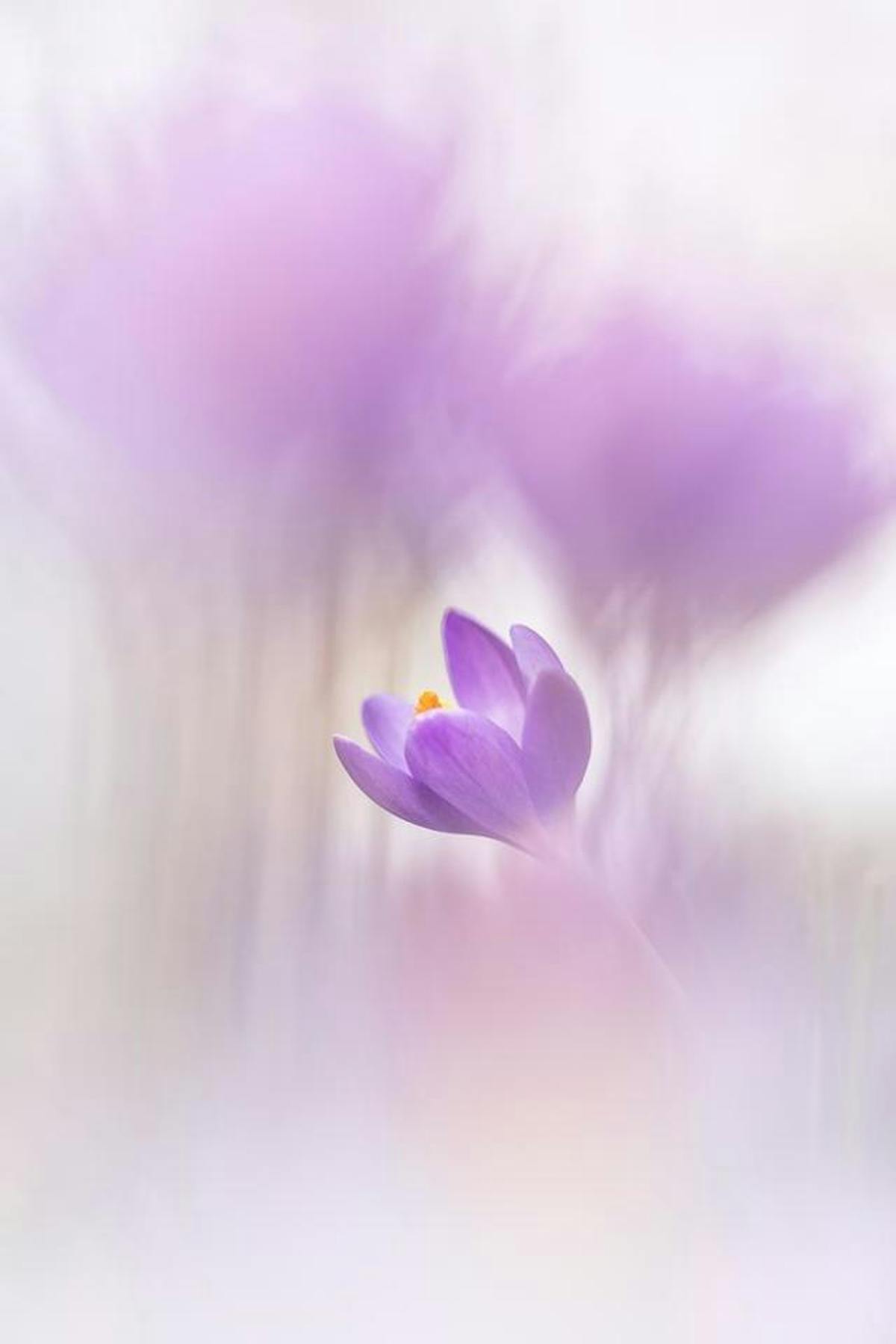 Foto: Bob Daalder (bobphoto)
