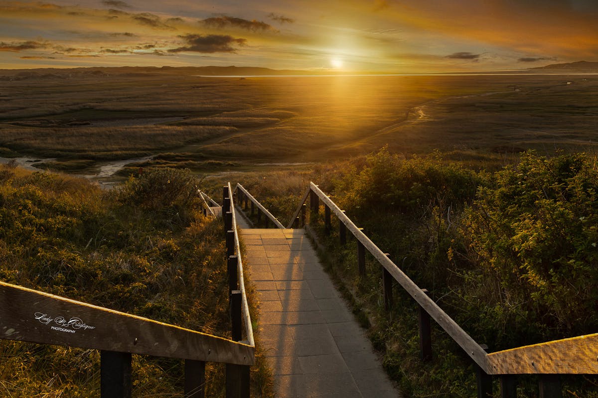 Foto: margreet-de-groot