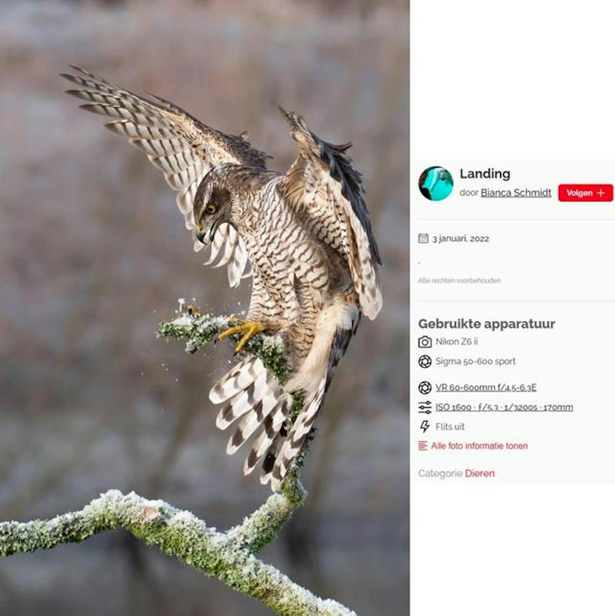 Bij deze fantastische foto van Bianca Schmidt kun je op Zoom.nl meteen zien met welke apparatuur en instellingen die is gemaakt.