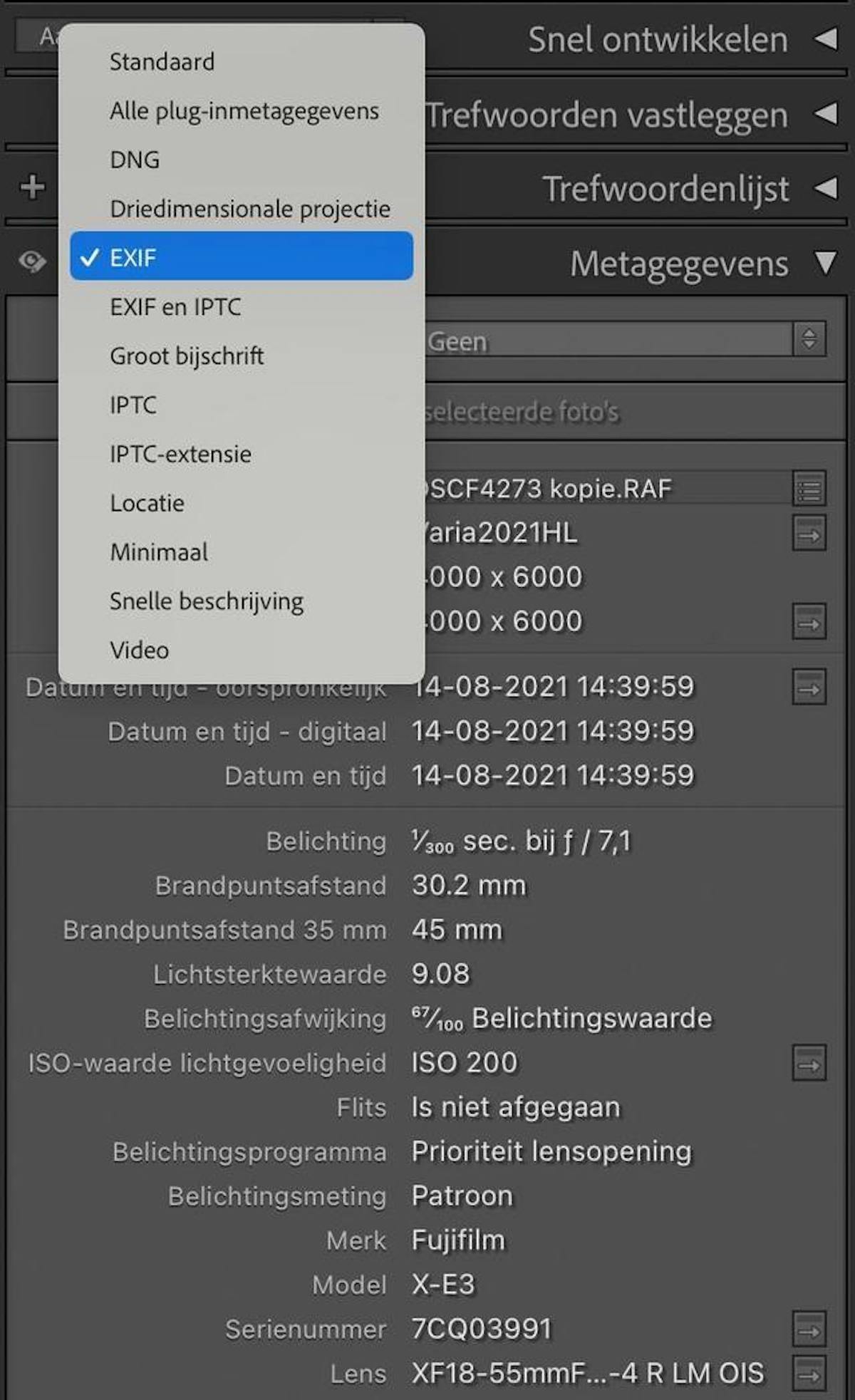 In de Bibliotheek-module van Lightroom bepaal je zelf welke metadata je rechts naast de foto wilt zien. De inhoud van het Standaard-tabblad is naar wens aan te passen.