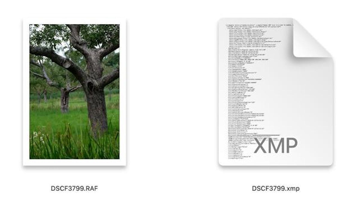Bij elke raw-foto worden de bewerkingsinstructies apart opgeslagen in een xmp-bestand.