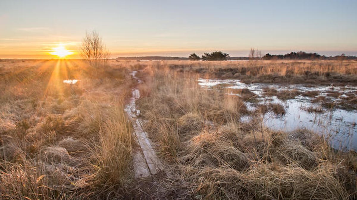 Foto: MartzenBruining