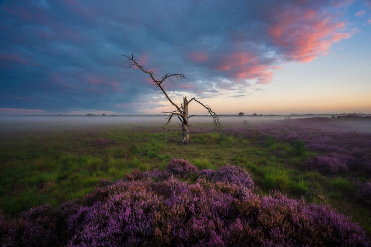 Foto: ThomasVdW