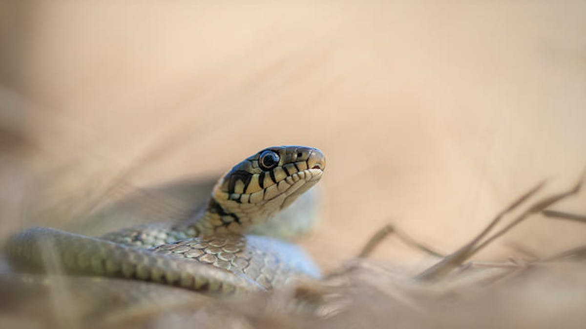 Foto: daan de vos