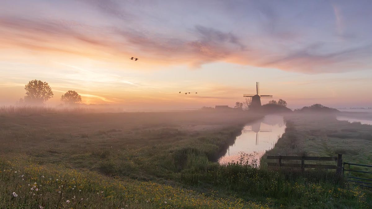 Foto: bramlubbersfotografie - CANON M50 II · ISO 1250 · F 9 · 1/80 SEC · 12 MM