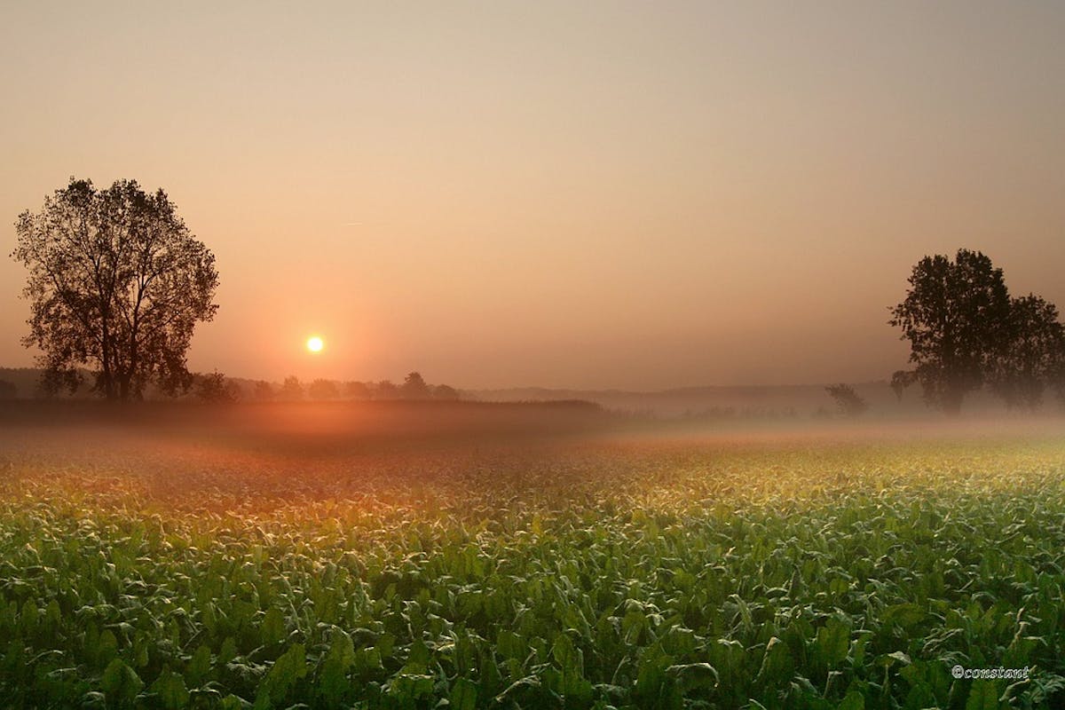 Met behulp van het diafragma zorg je voor voldoende scherptediepte. (Foto: constant )