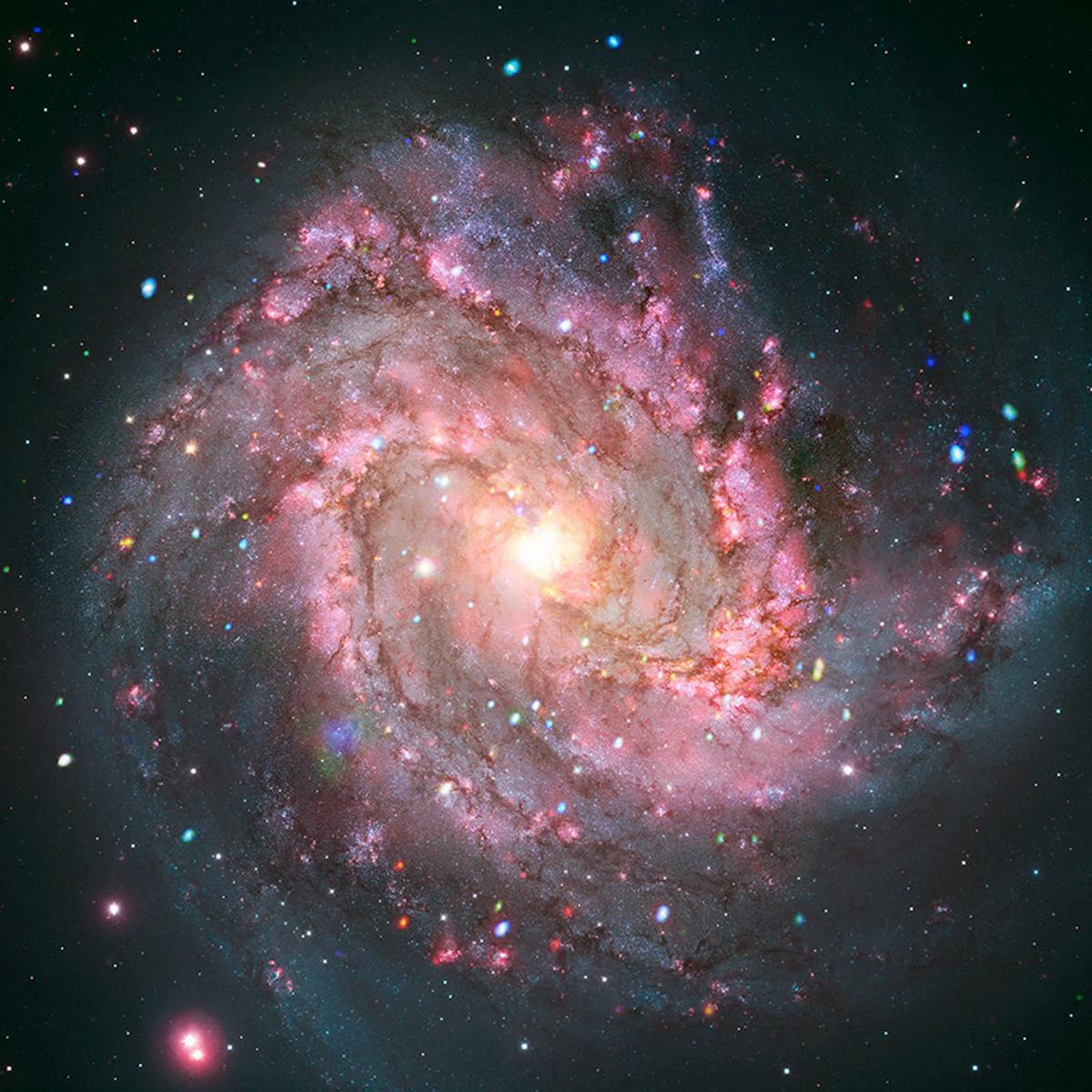 M83