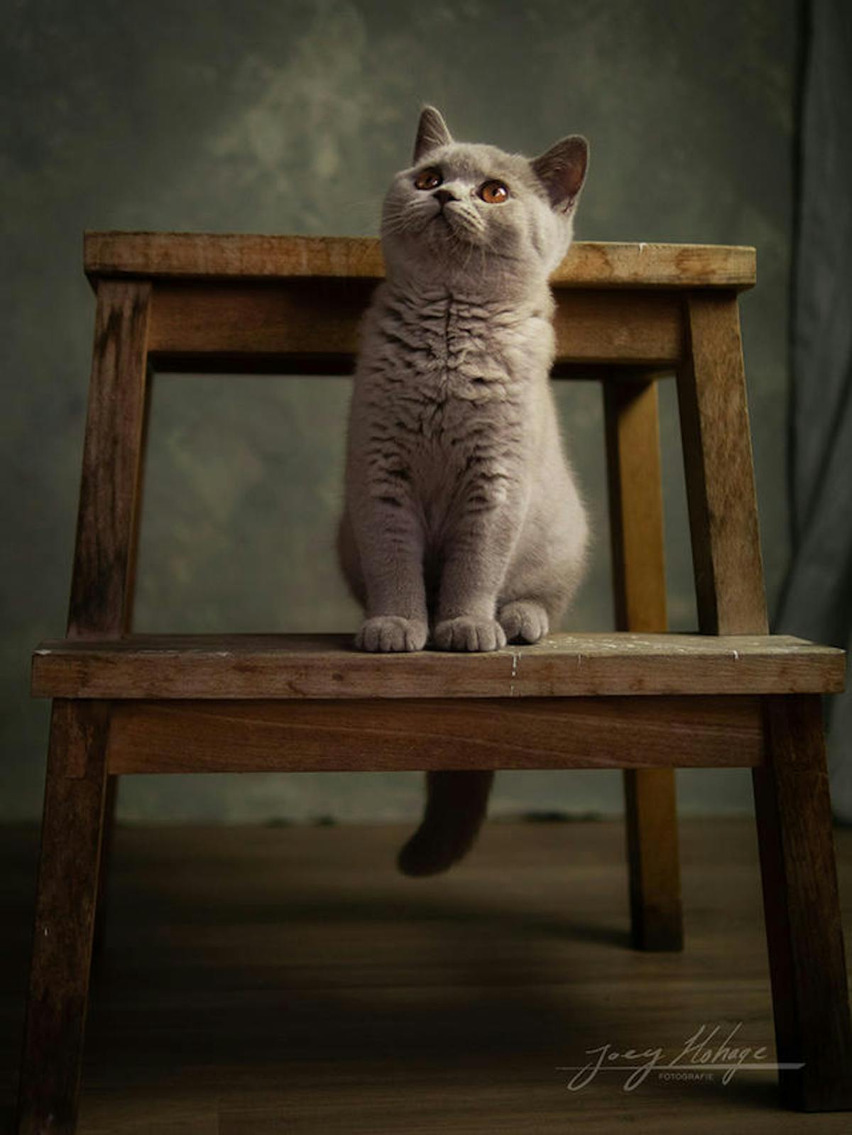 Foto: JoeyHohage.