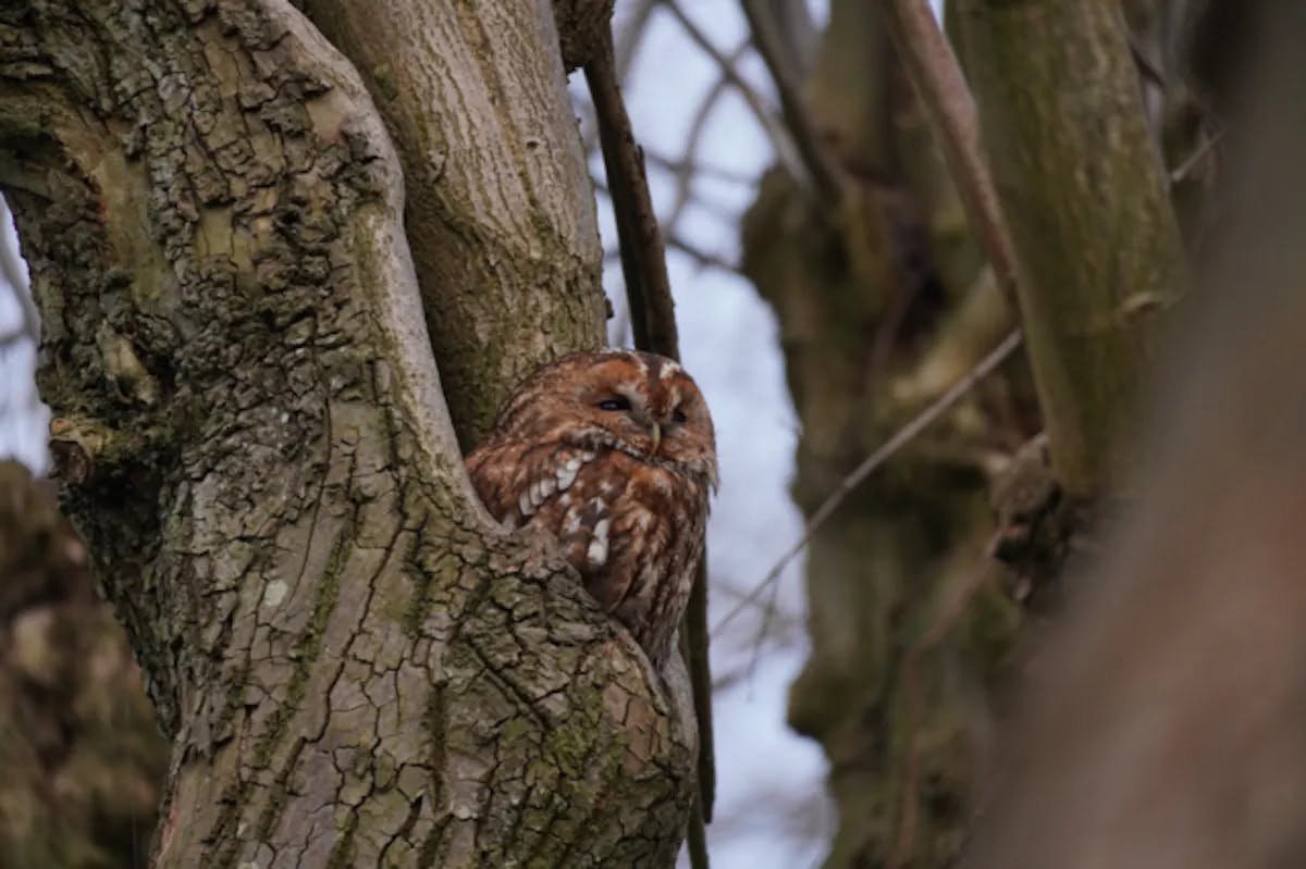 Foto: Rick Meinders (meinders)