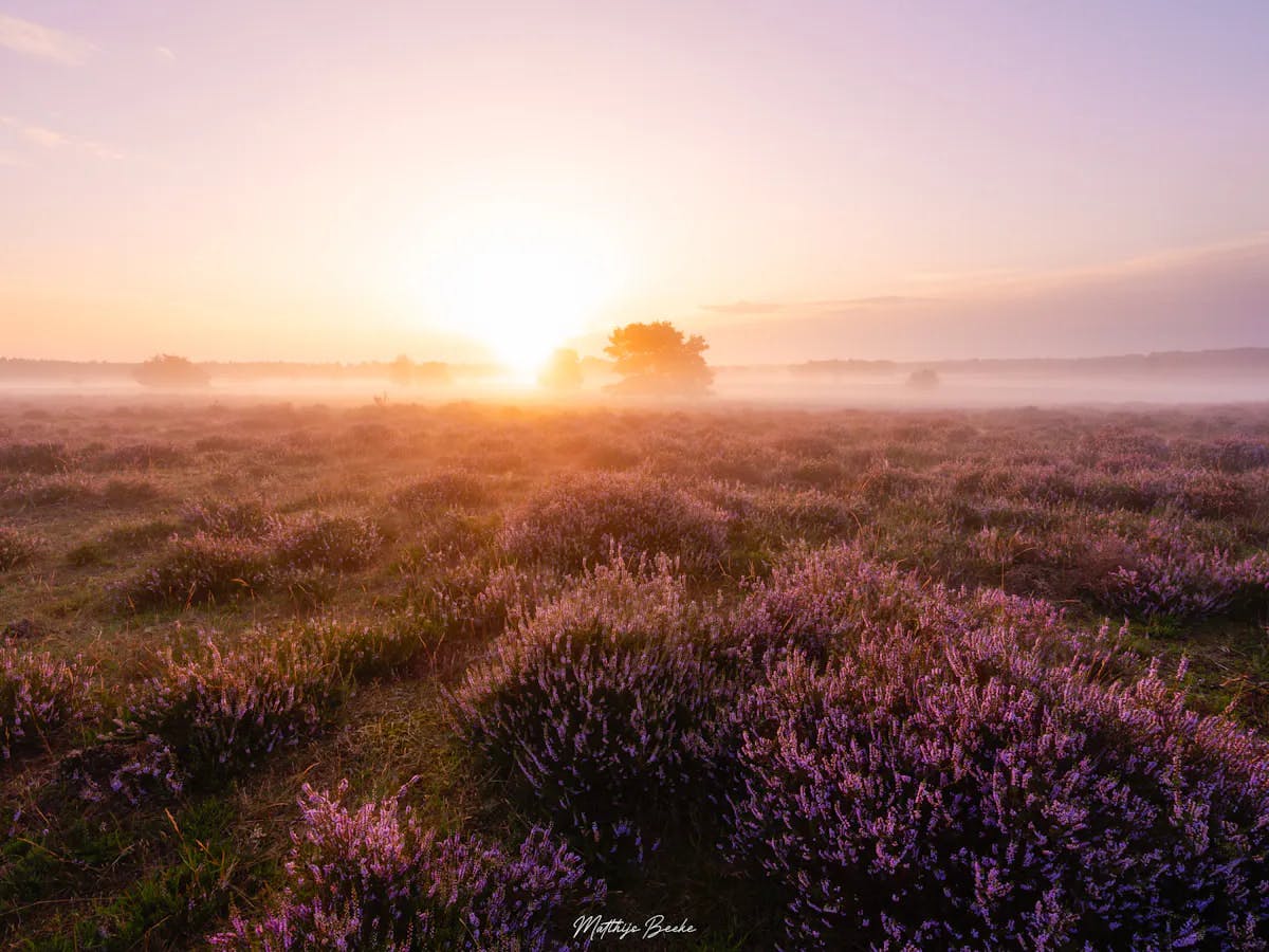 Foto: Matthijs.Beeke