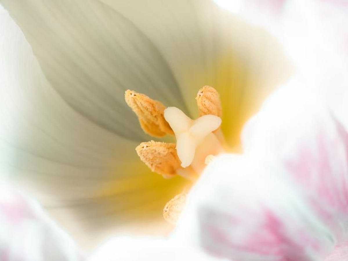 Foto: Tom Reuvers