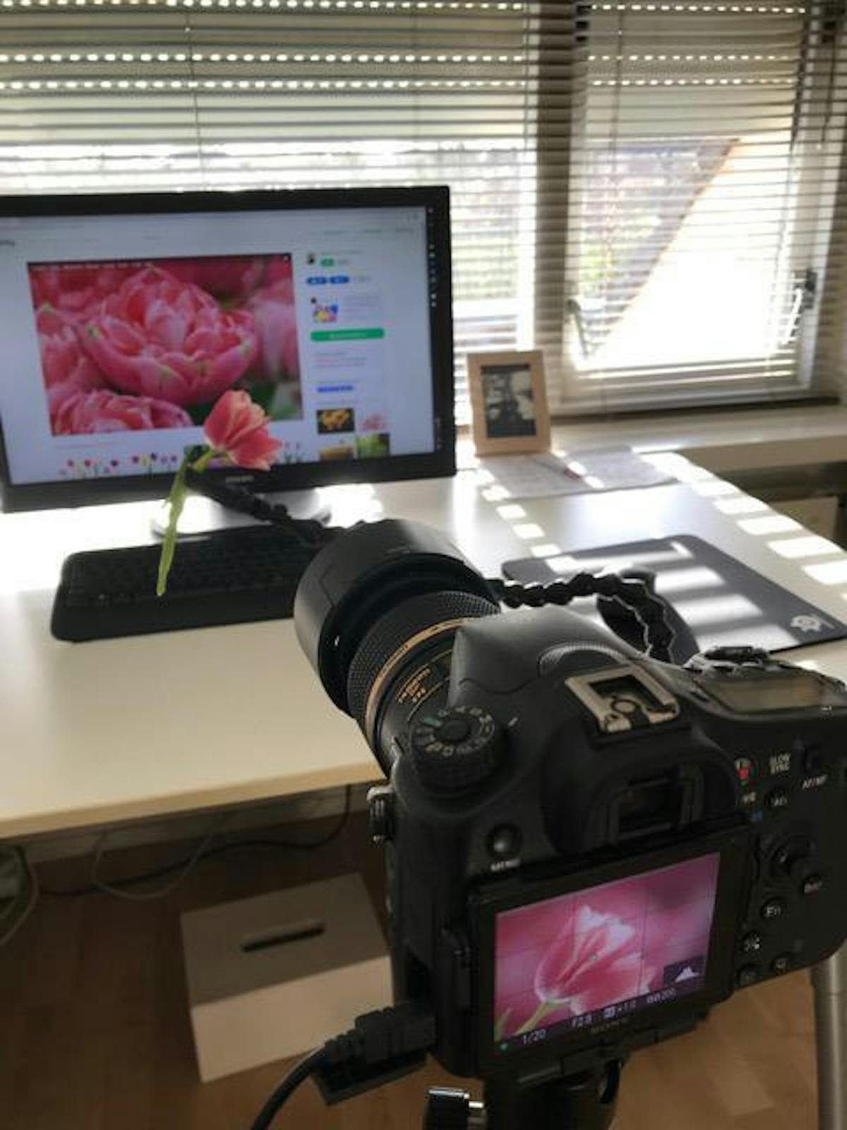 Behind-the-scenes
