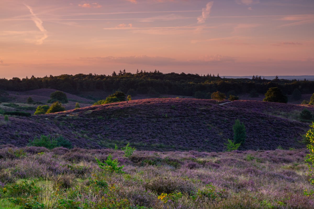 Foto: Barthellings