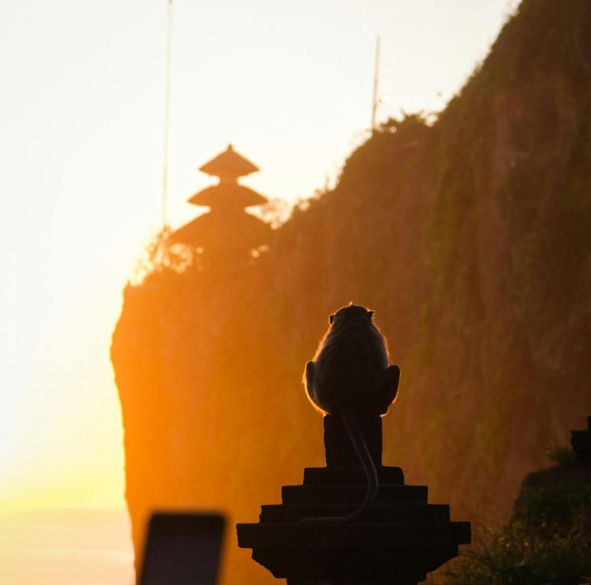 Foto: Nautvv - ISO 160 · ƒ/4 · 1/320s · 80mm