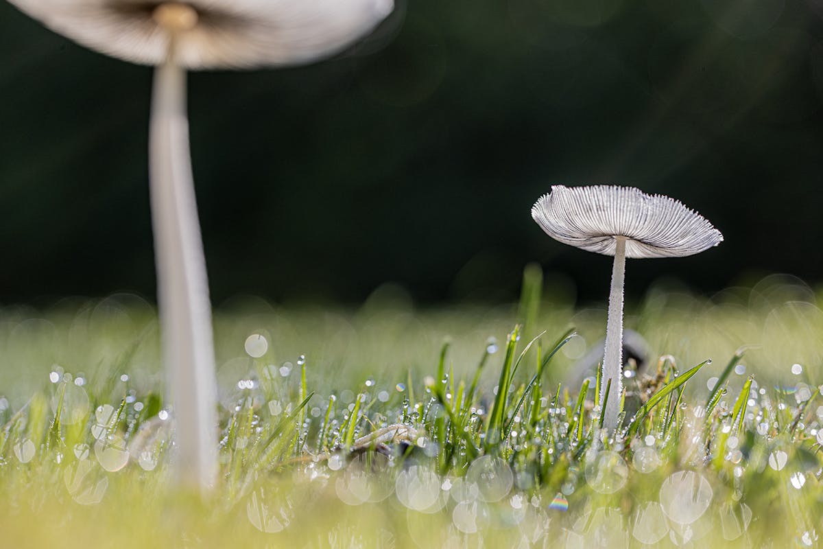 Foto: FredBisschop