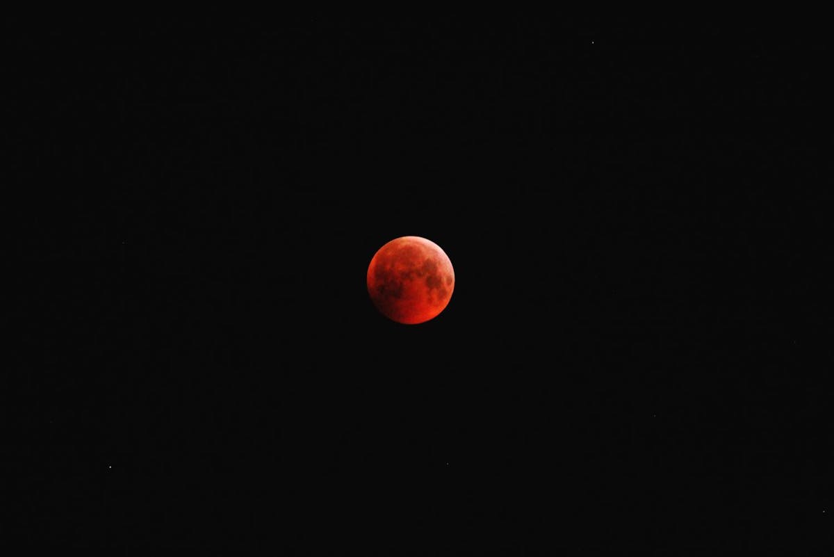 Foto: wmcphoto - ISO 6400 · ƒ/5.6 · 1/2s · 250mm