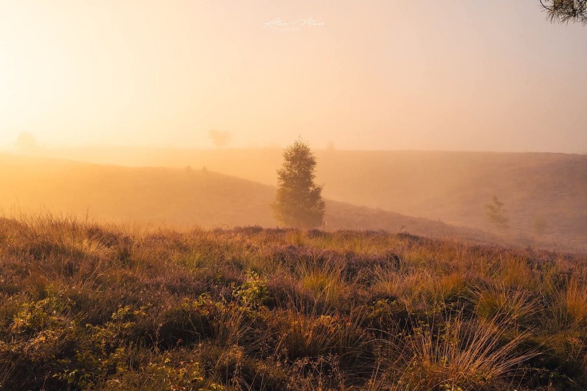Foto: Alex-Maas1