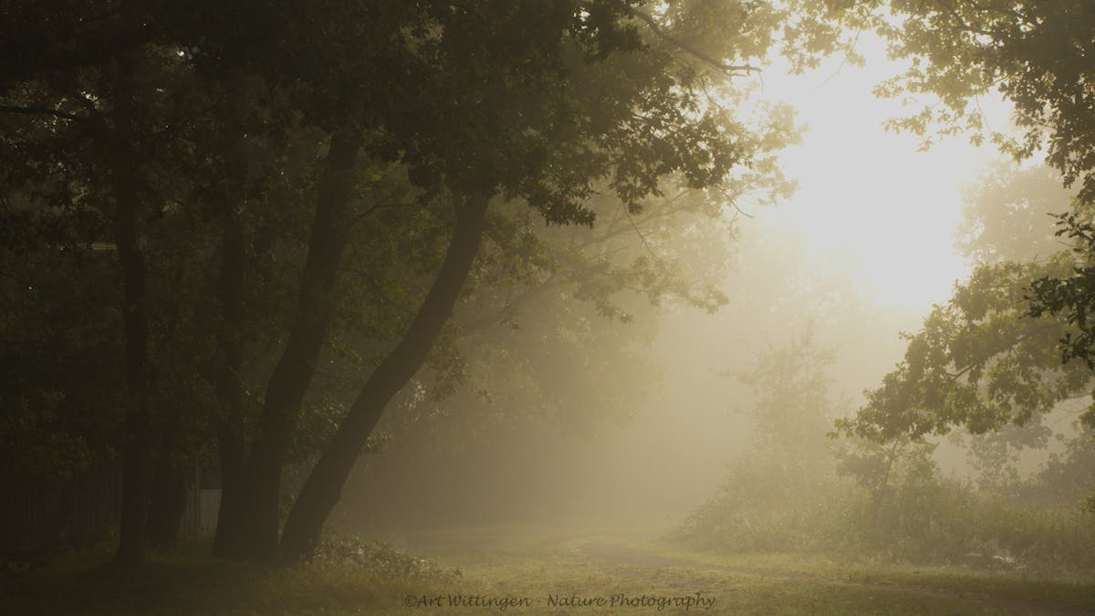 Foto: art.wittingen