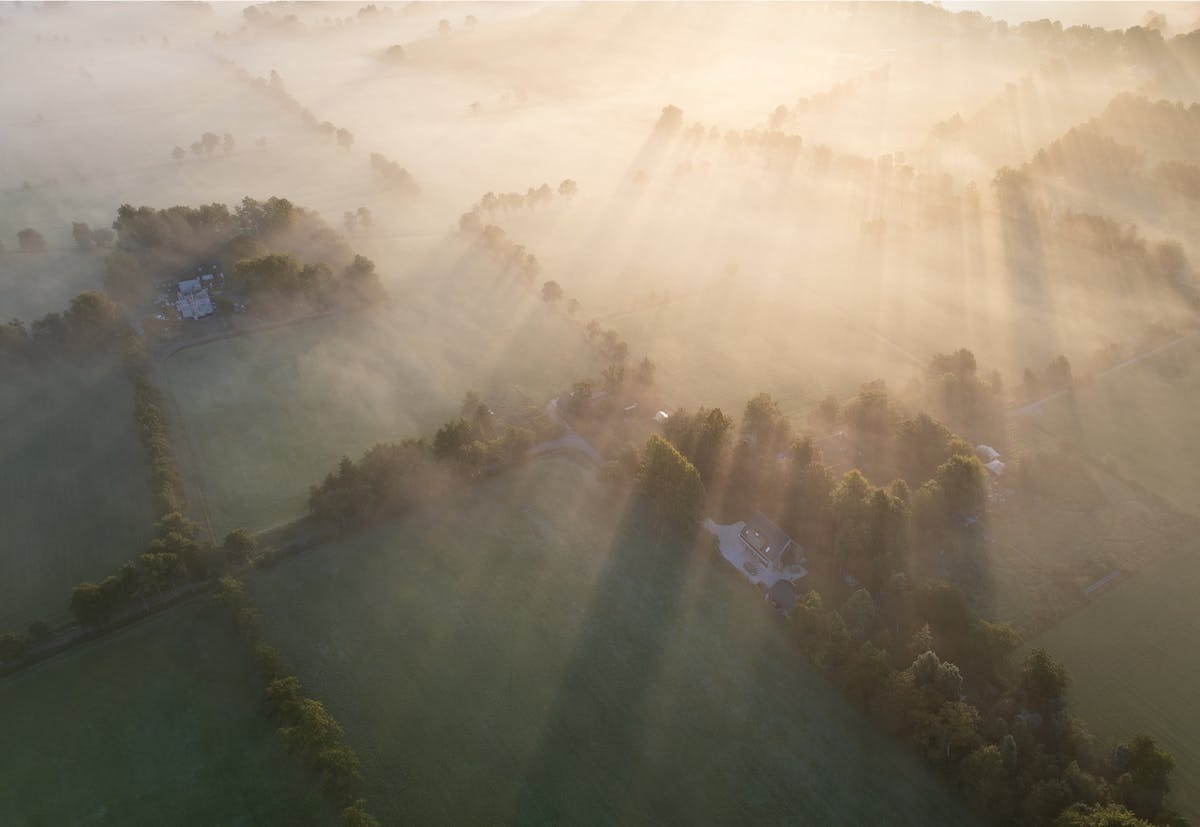 Foto: renedevries