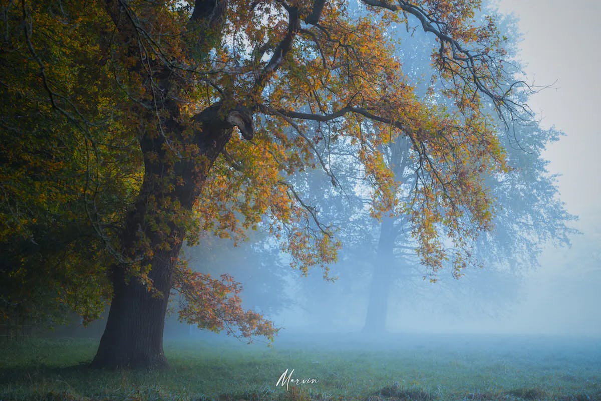 Foto: Marvinkranenburg