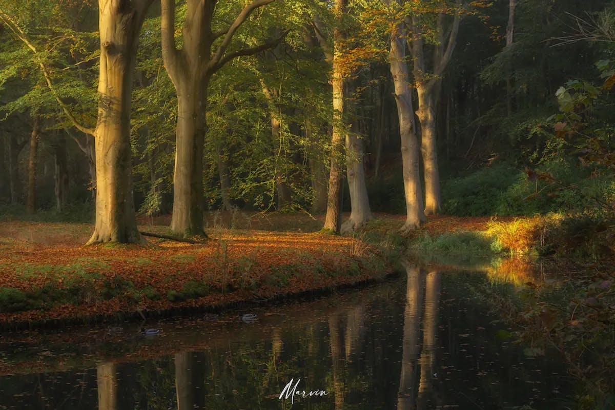 Foto: Marvinkranenburg