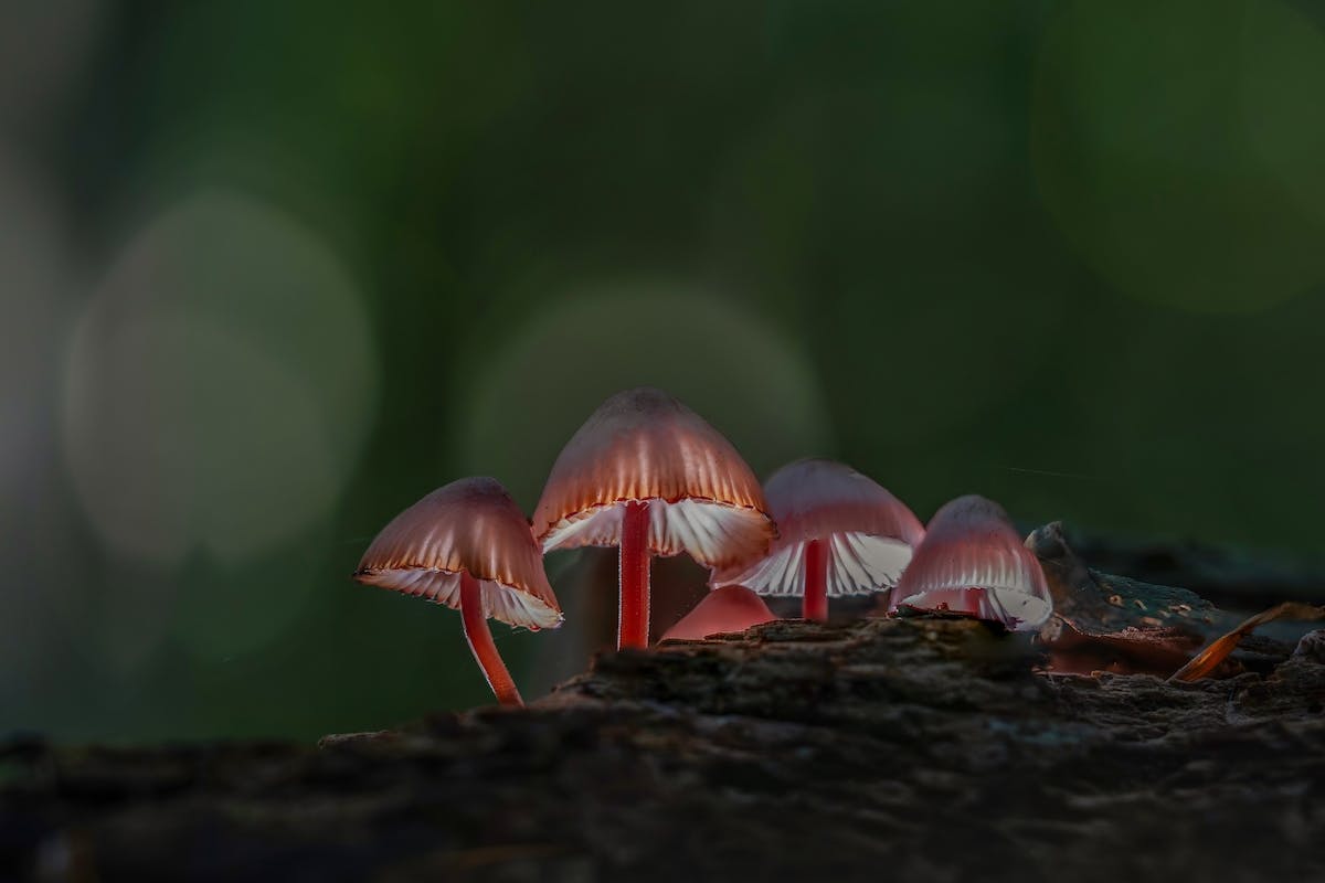 Foto: GinaHeynze
