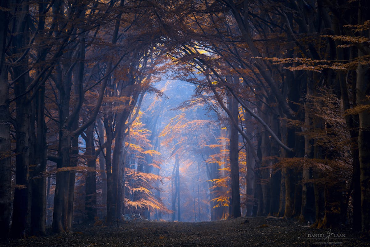 Foto: Laanscapes