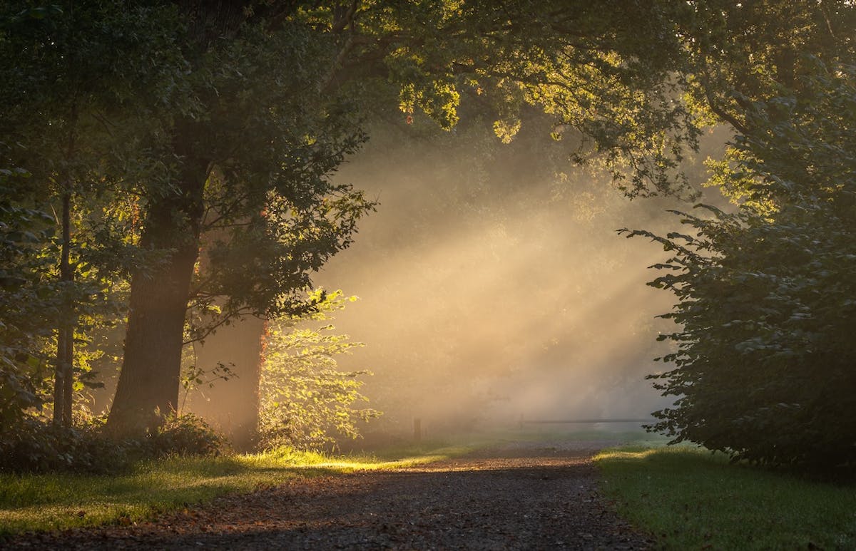 Foto: renedevries