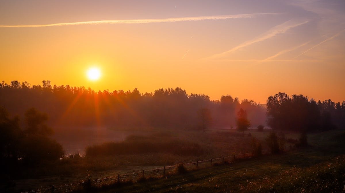 Foto: a.j.westerlaken