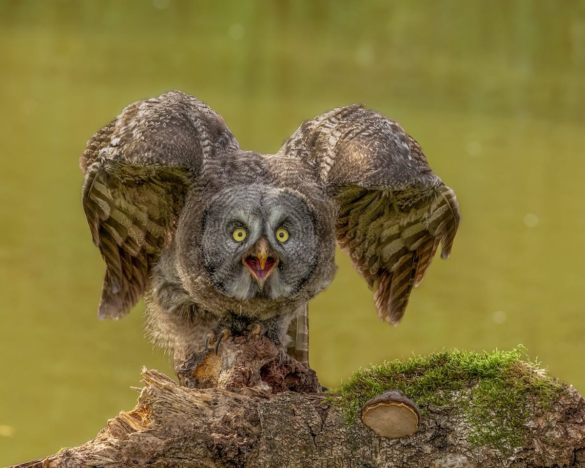 Foto: EdvanderReek