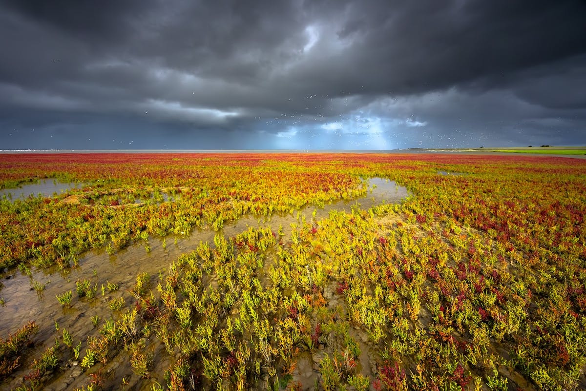 Foto: ArjanSijtsma