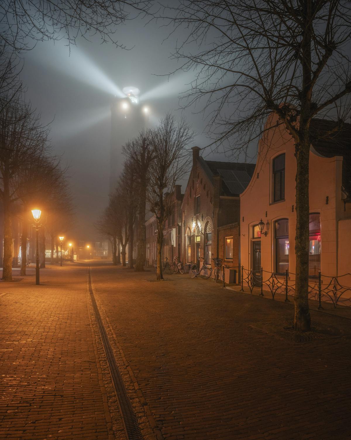 Foto: weimaraan