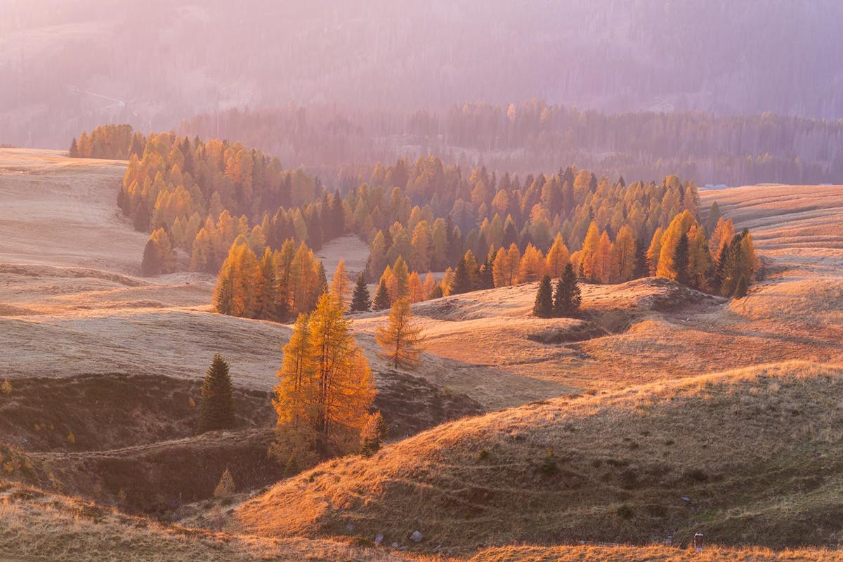 Foto: rudyman85