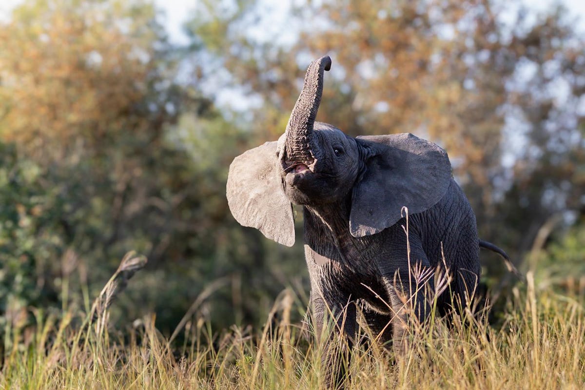 Foto: Jordy-vd-S - ISO 1250 · ƒ/6.3 · 1/800s · 100mm