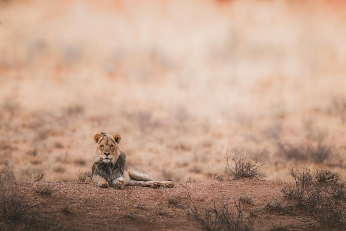 Foto: lisaSarrazin - ISO 500 · ƒ/6.3 · 1/640s · 570mm