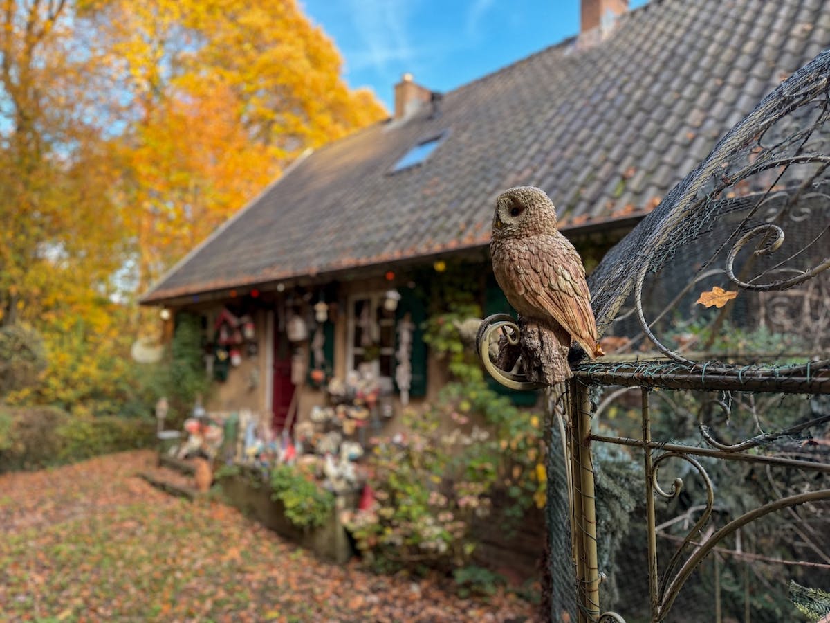 De 4x-telelens levert hier een zachte bokeh en natuurlijke dieptewerking, bijna niet van een ‘echte’ camera te onderscheiden.