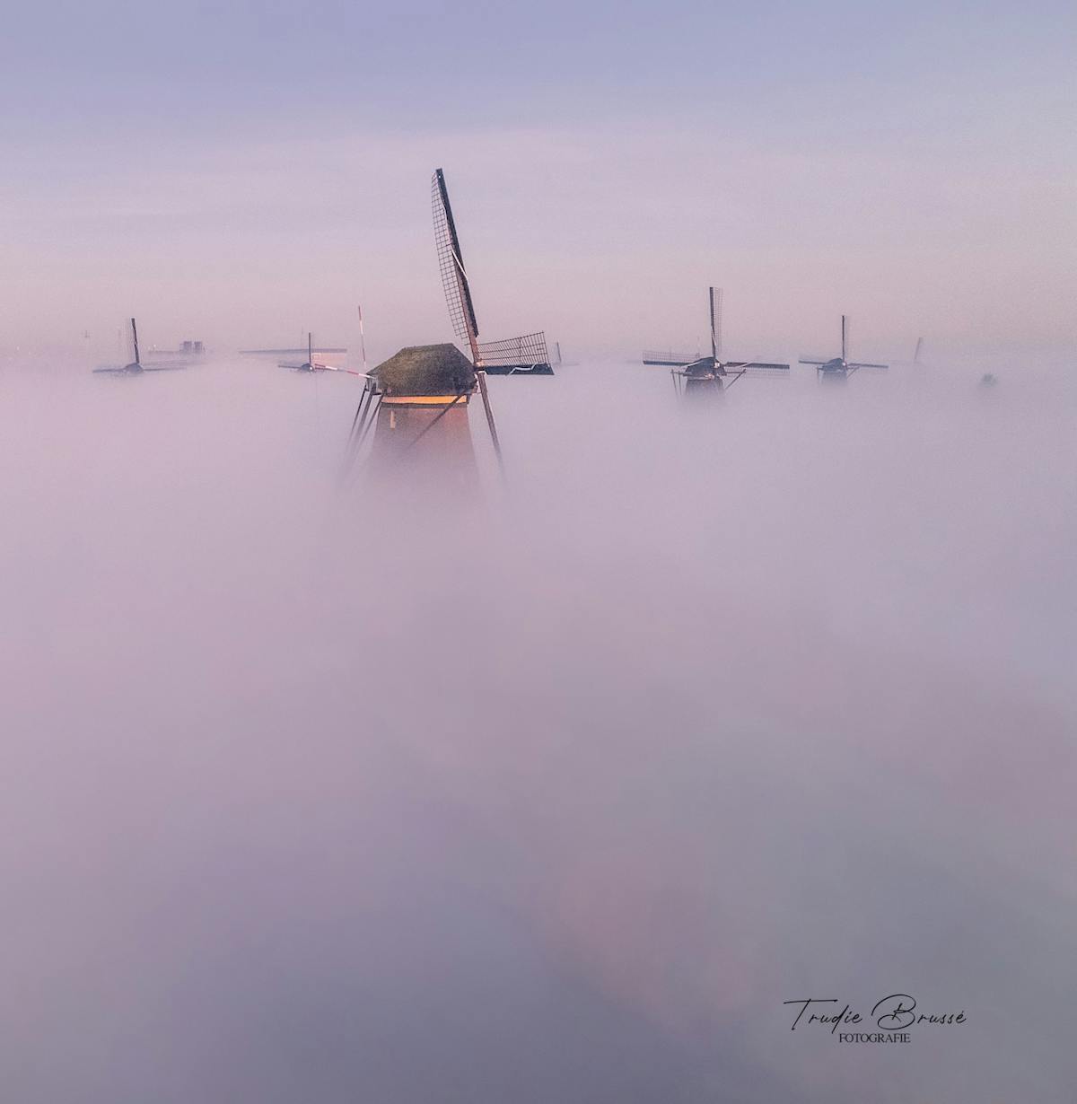 Foto: TrudieFotografie