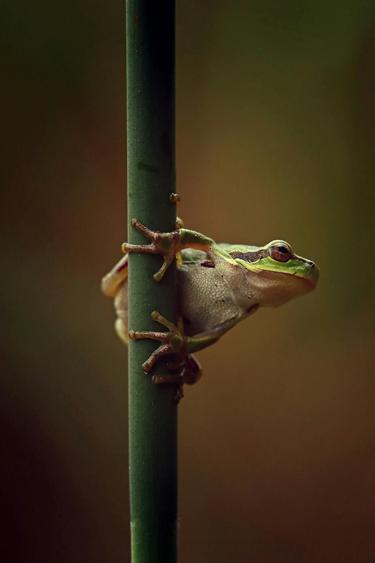 Foto: Naturelover