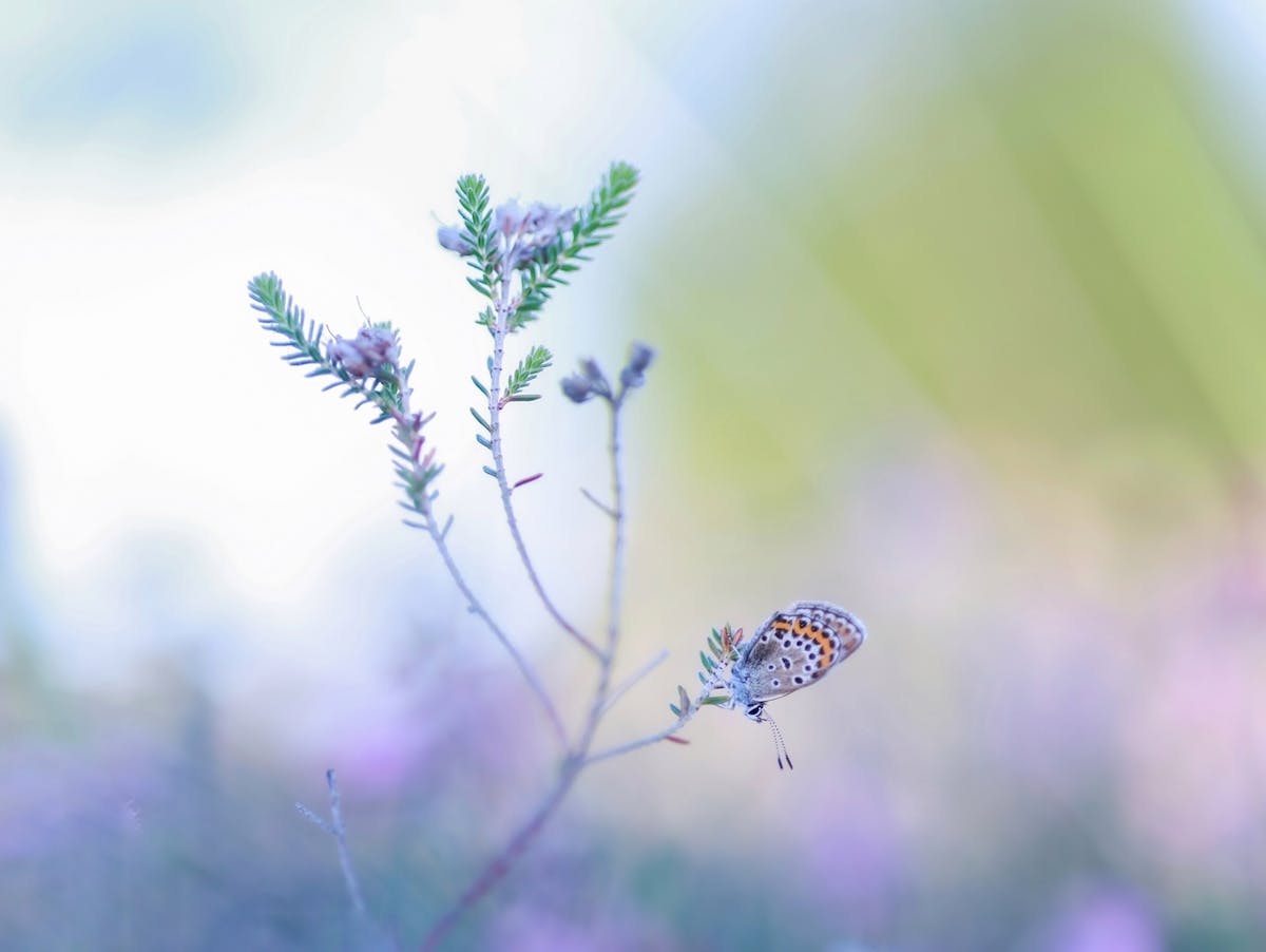 Foto: Herna Huisman