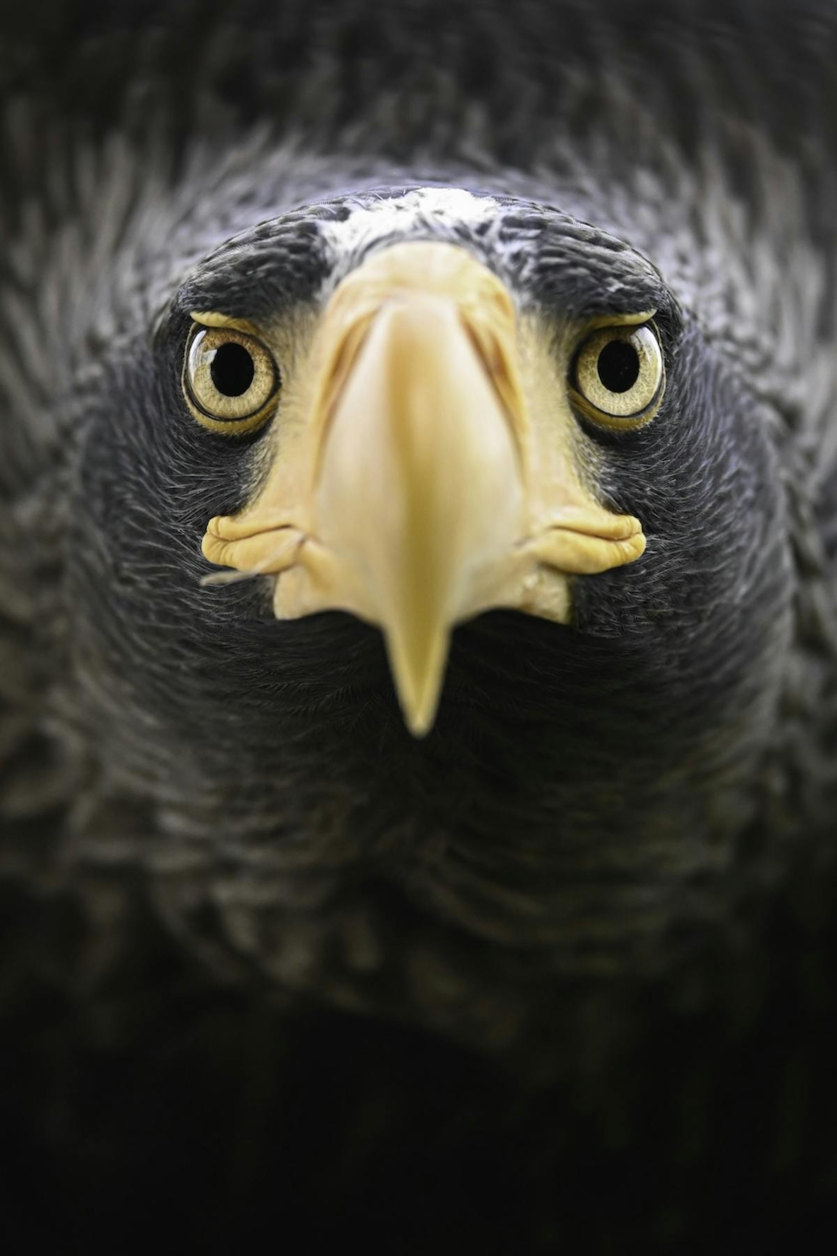 Foto: timothyraymondphotography