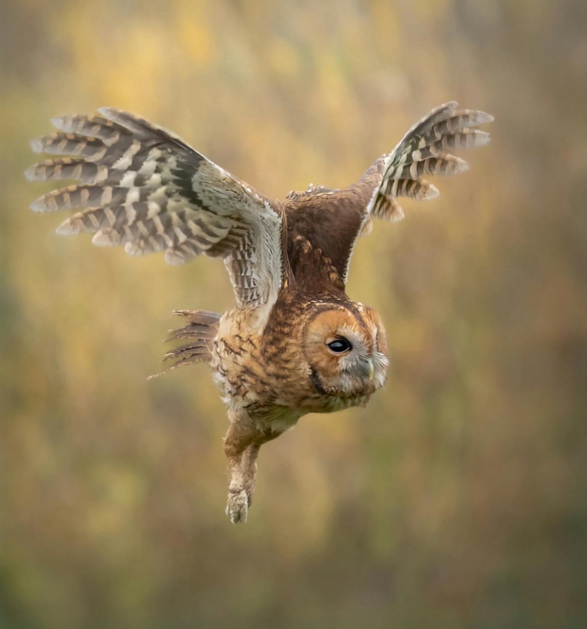 Foto: Betty Zijlstra
