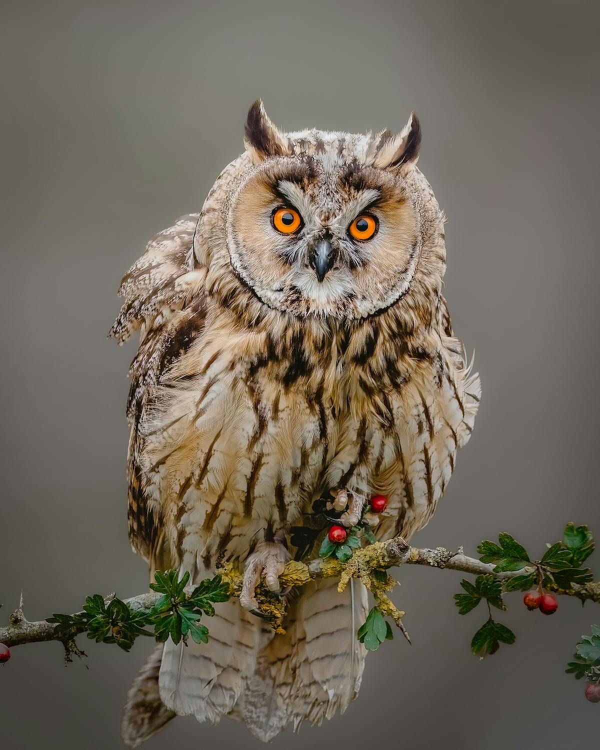Foto: MarkEvenhuis